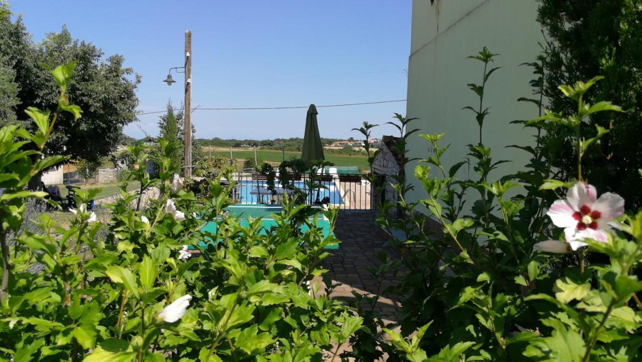 Moratto'S Apartments Umag Exterior photo